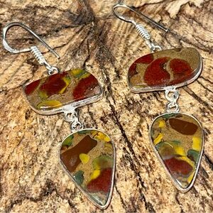 Ajooba Fruit Jasper Earrings 2”